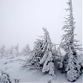 Zimowe Karkonosze